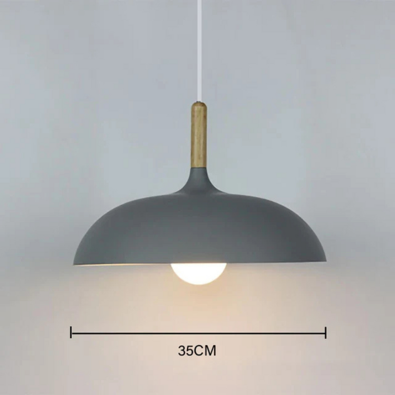 Ceiling Light | Modern LED Pendant