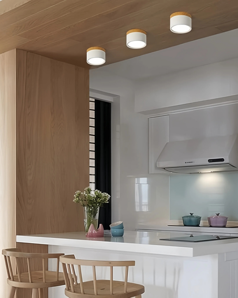 LumoVive | Sleek Minimalist Ceiling Light