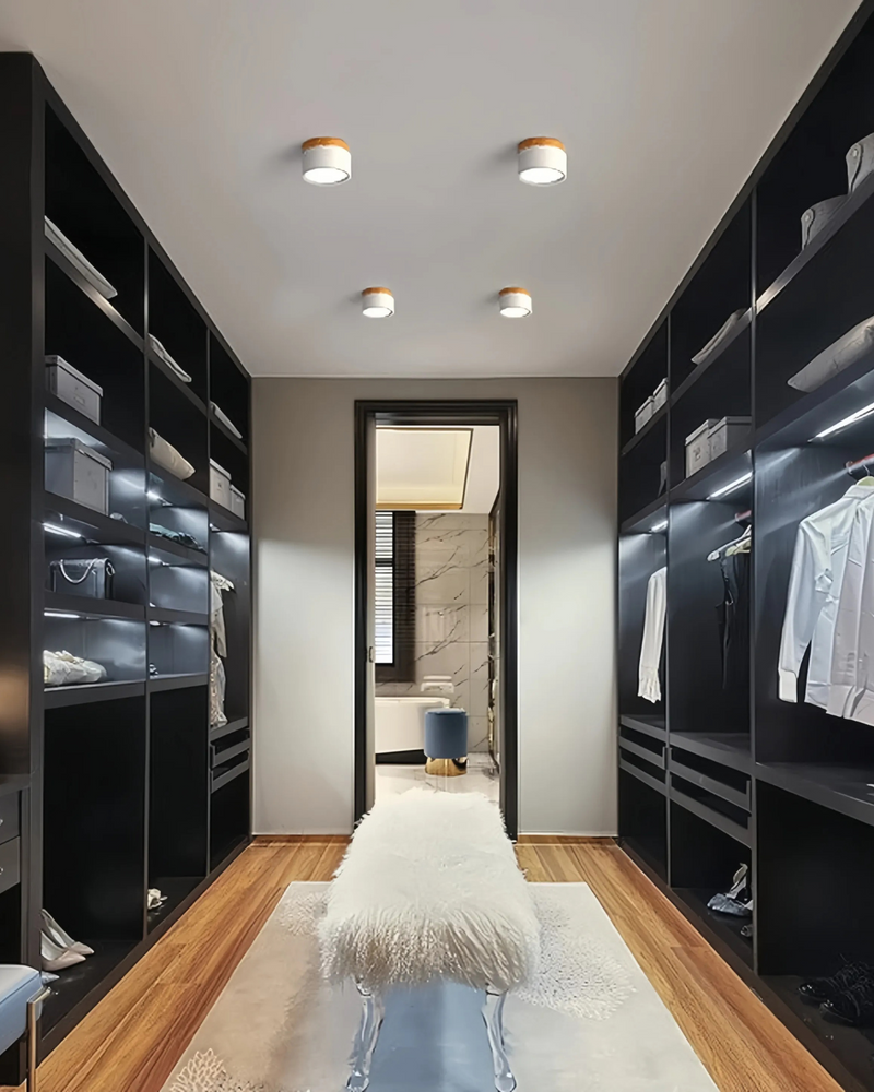 LumoVive | Sleek Minimalist Ceiling Light