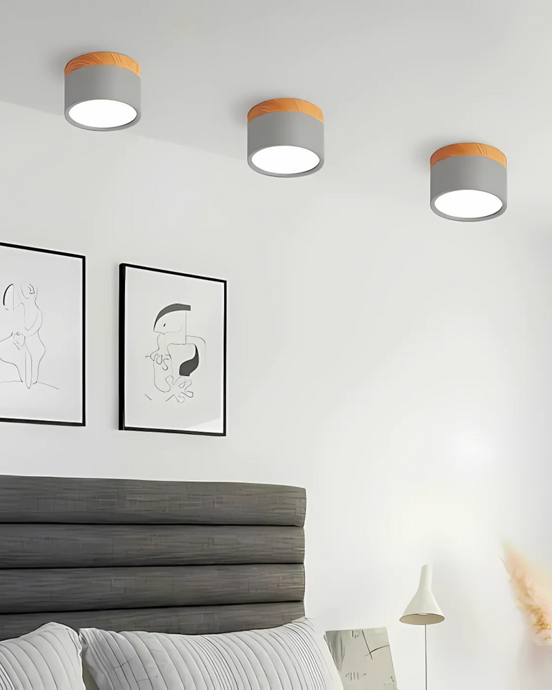 LumoVive | Sleek Minimalist Ceiling Light