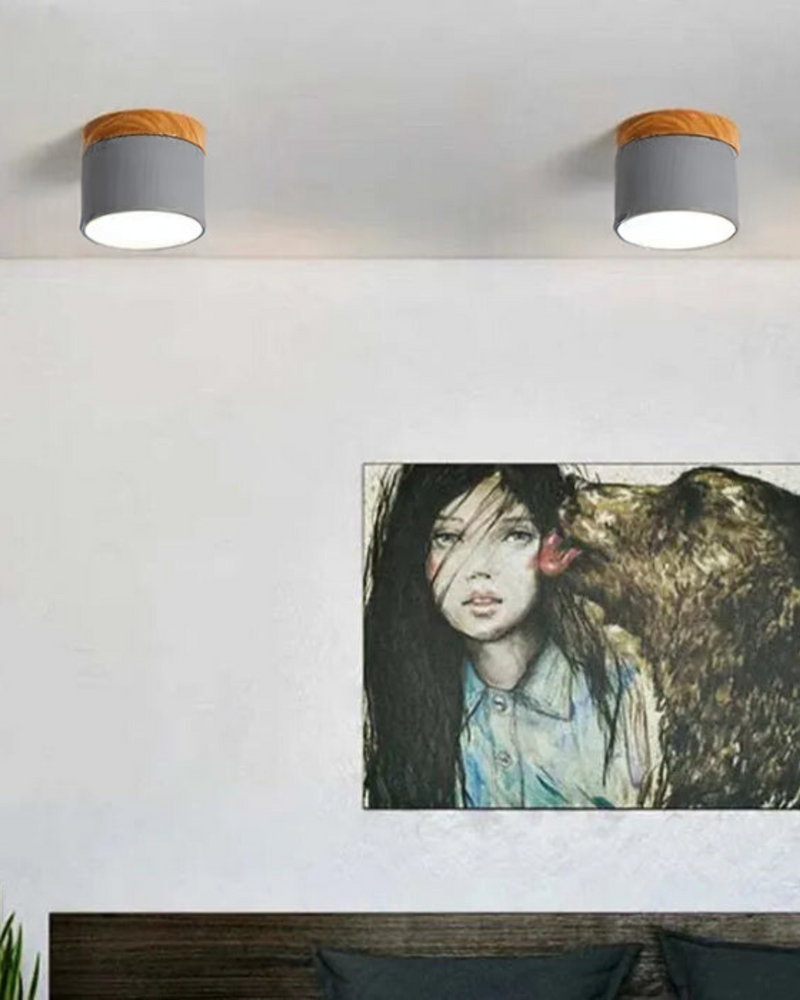 LumoVive | Sleek Minimalist Ceiling Light