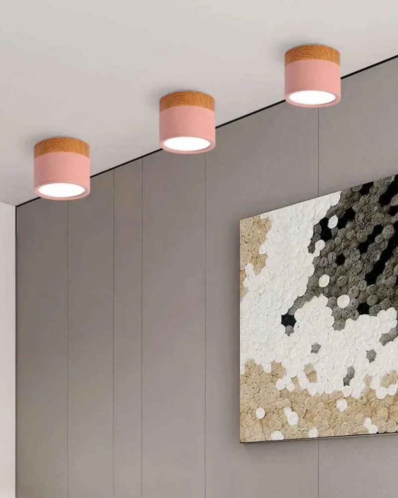 LumoVive | Sleek Minimalist Ceiling Light