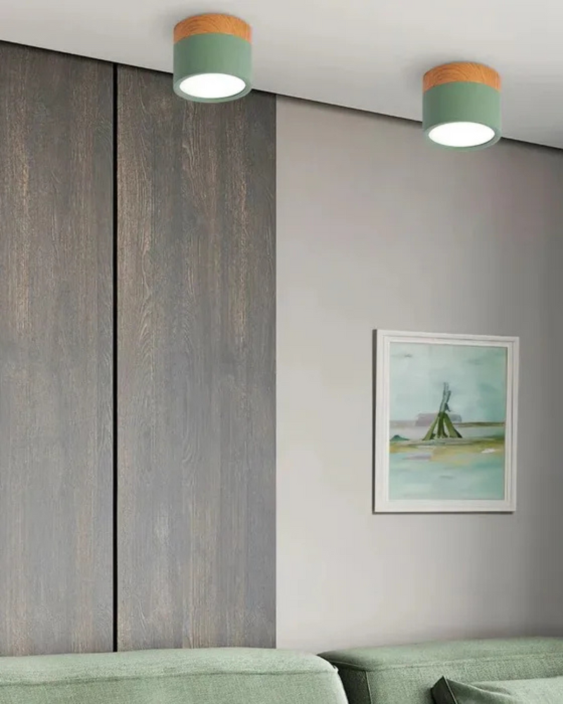 LumoVive | Sleek Minimalist Ceiling Light