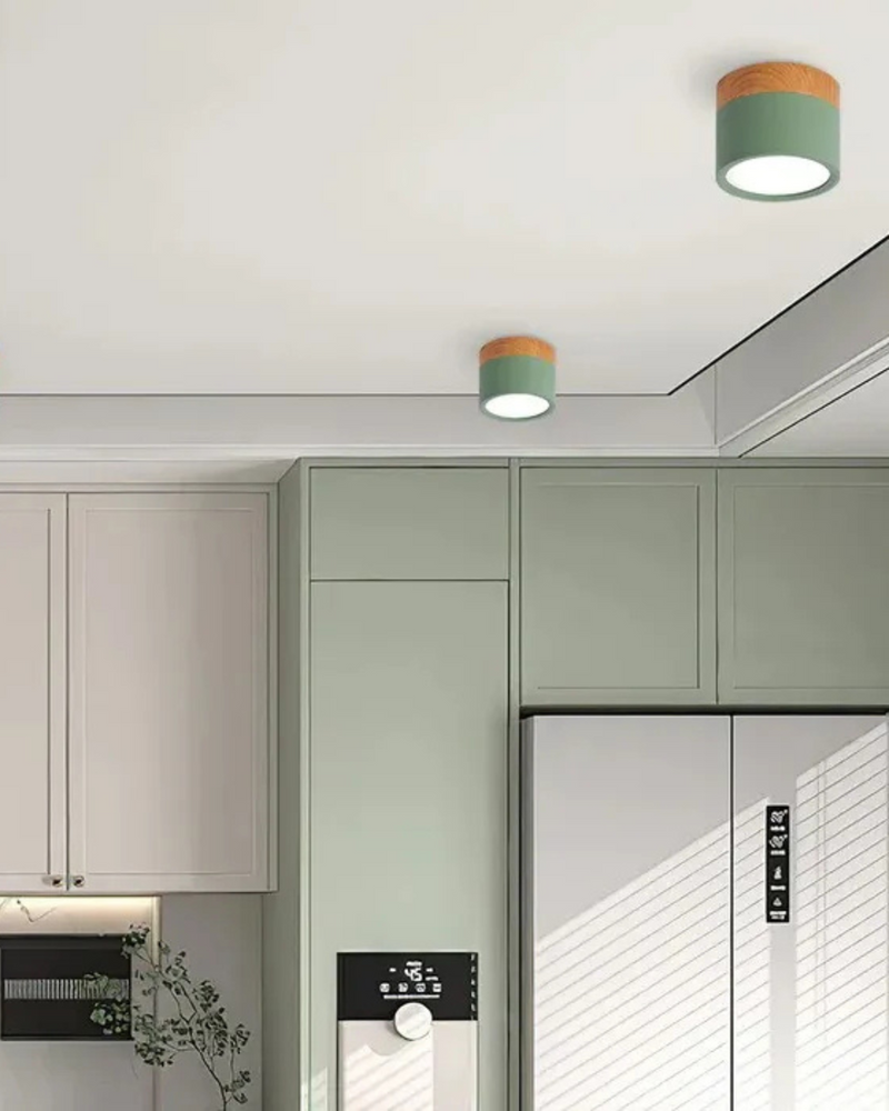 LumoVive | Sleek Minimalist Ceiling Light