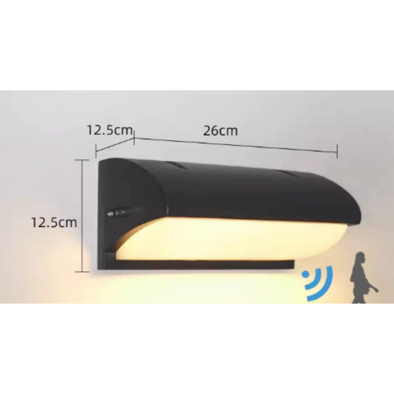 Outdoor Wall Light | PIR Motion Sensor | LED Lantern