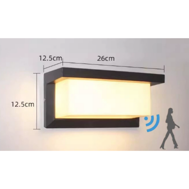 Outdoor Wall Light | PIR Motion Sensor | LED Lantern