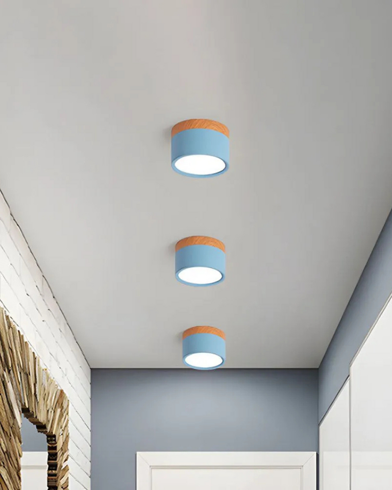 LumoVive | Sleek Minimalist Ceiling Light