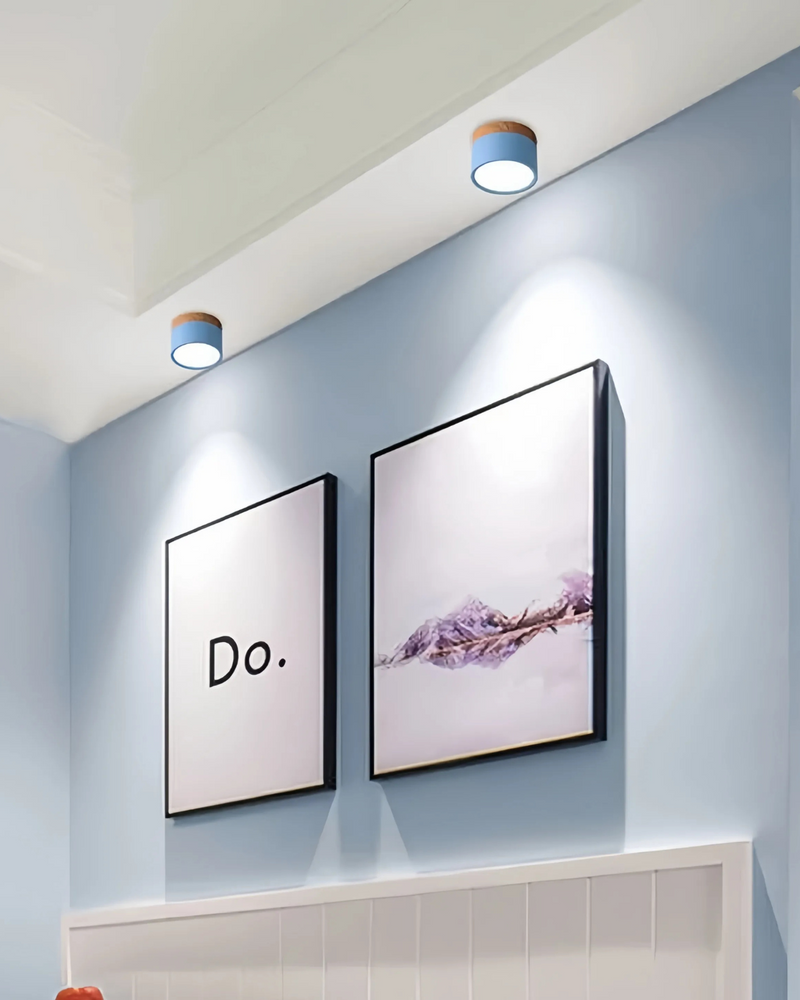 LumoVive | Sleek Minimalist Ceiling Light