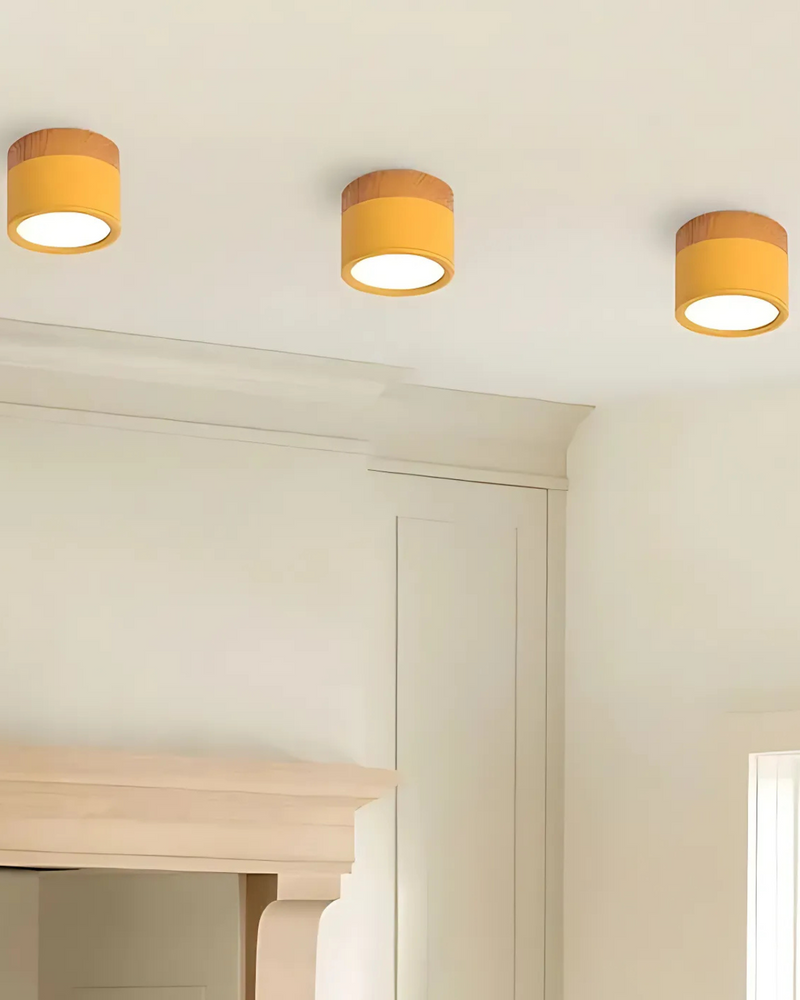 LumoVive | Sleek Minimalist Ceiling Light