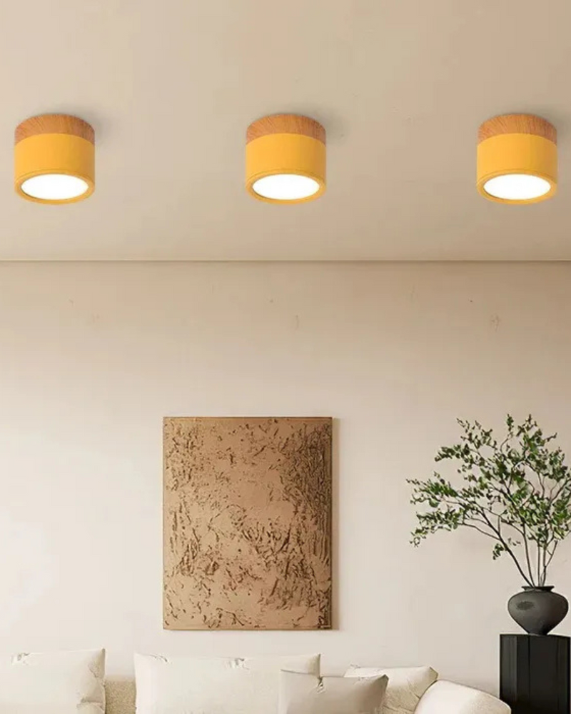 LumoVive | Sleek Minimalist Ceiling Light