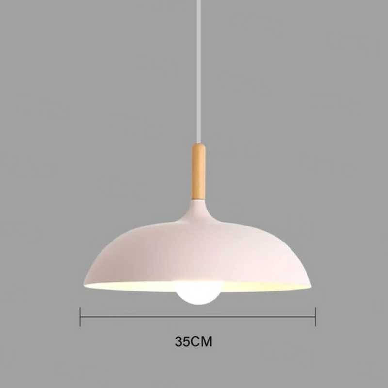 Ceiling Light | Modern LED Pendant