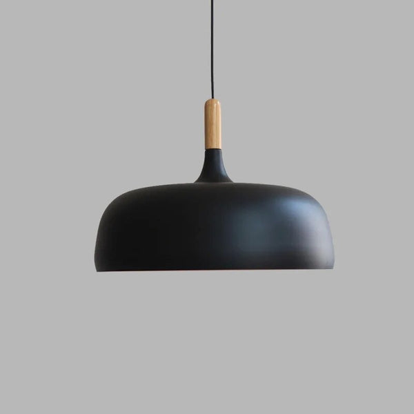 Hang up the Nordic lamp 0