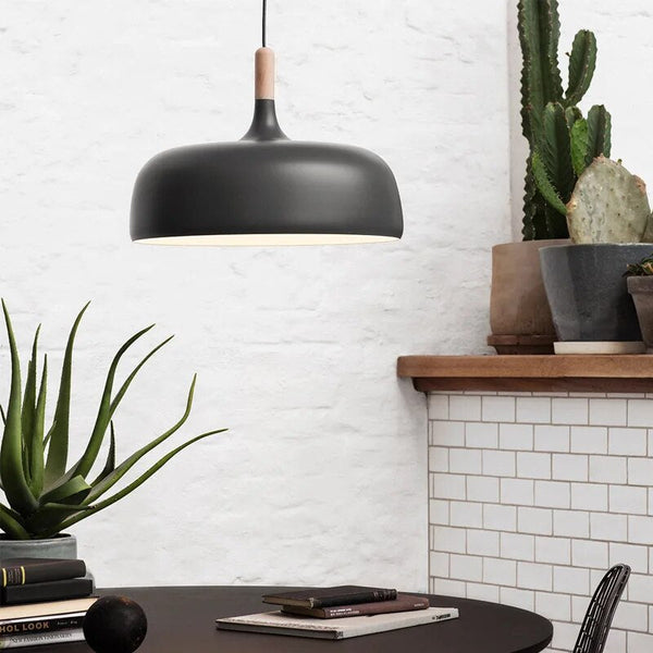 Hang up the Nordic lamp 1