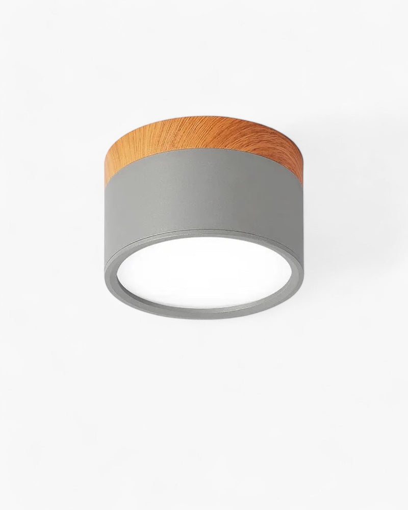 LumoVive | Sleek Minimalist Ceiling Light