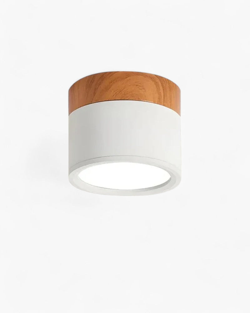 LumoVive | Sleek Minimalist Ceiling Light