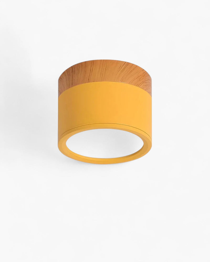 LumoVive | Sleek Minimalist Ceiling Light