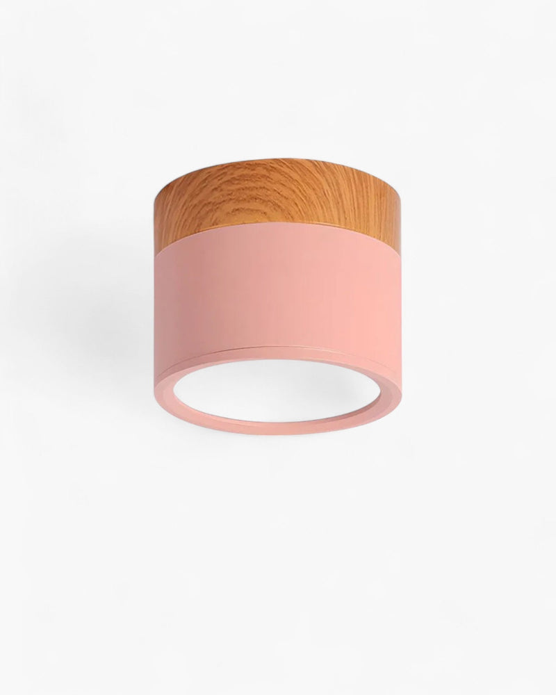 LumoVive | Sleek Minimalist Ceiling Light