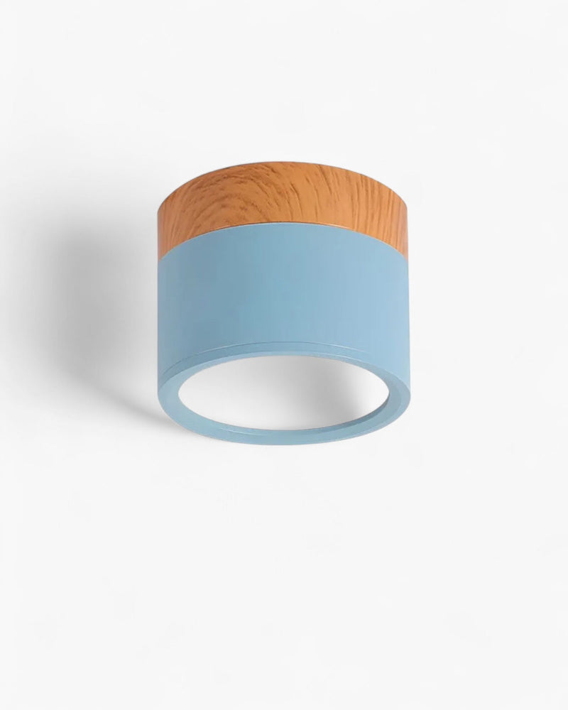 LumoVive | Sleek Minimalist Ceiling Light