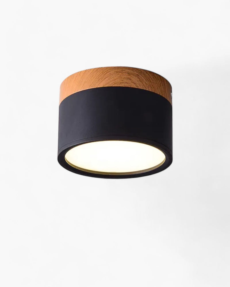 LumoVive | Sleek Minimalist Ceiling Light