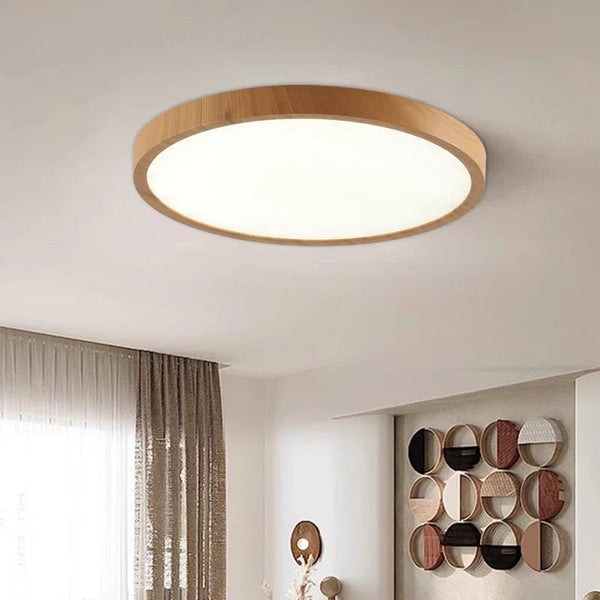 Ultra -thin circular ceiling lamp 1
